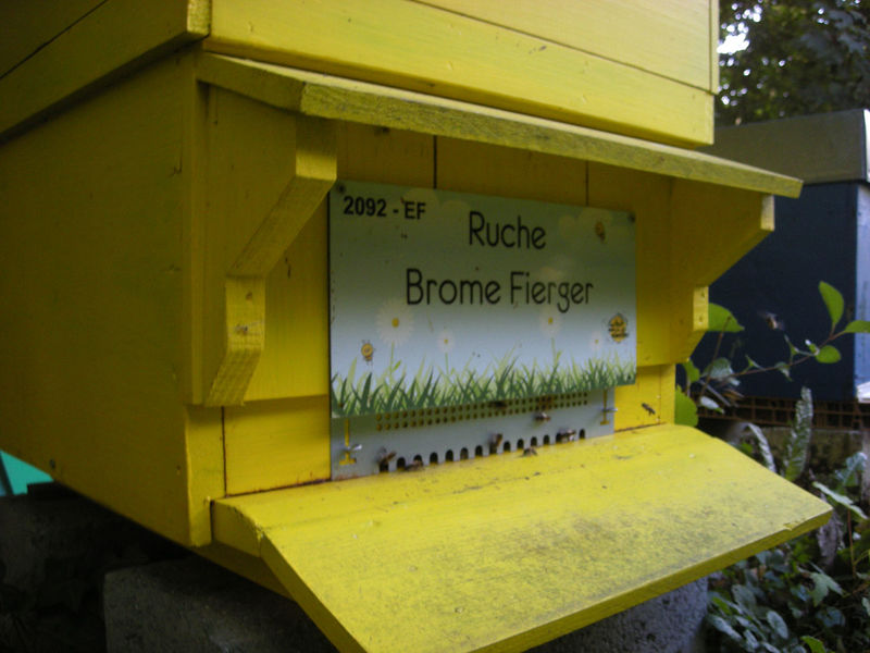 La ruche Brome Fierger